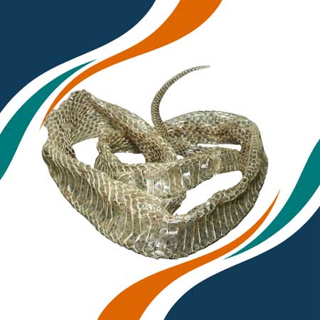 Piel de serpiente