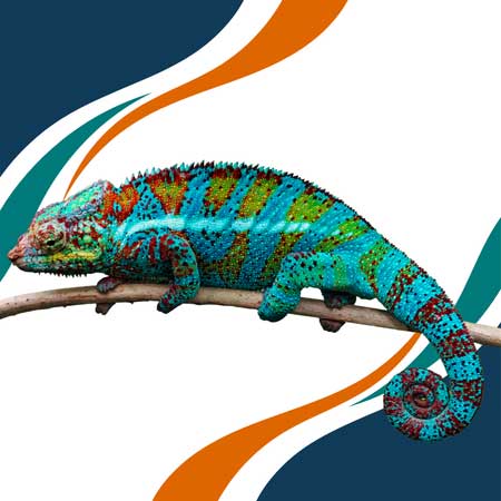 Camaleón Pantera